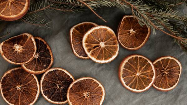 Kuivattuja appelsiinin siivuja ja havuja harmaan kankaan päällä.