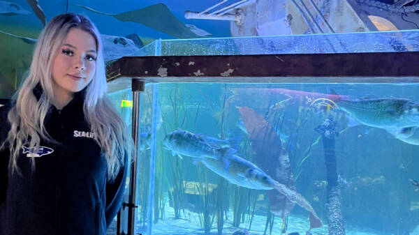Vaaleahiuksinen henkilö tummassa hupparissa seisoo ison akvaarion edessä.