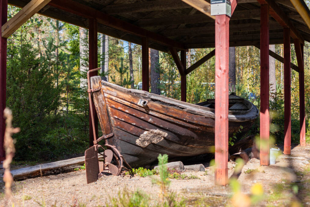 Vanha puuvene katoksen alla metsäisessä ympäristössä.